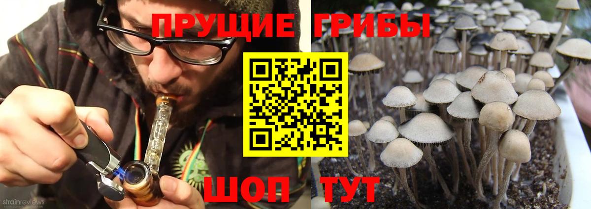 Галлюциногенные грибы мицелий Кудымкар